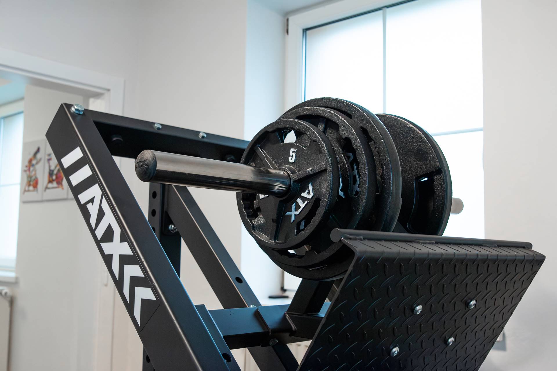 Balance4Life - Marlene Hofinger aus Neukirchen am Walde in Oberösterreich