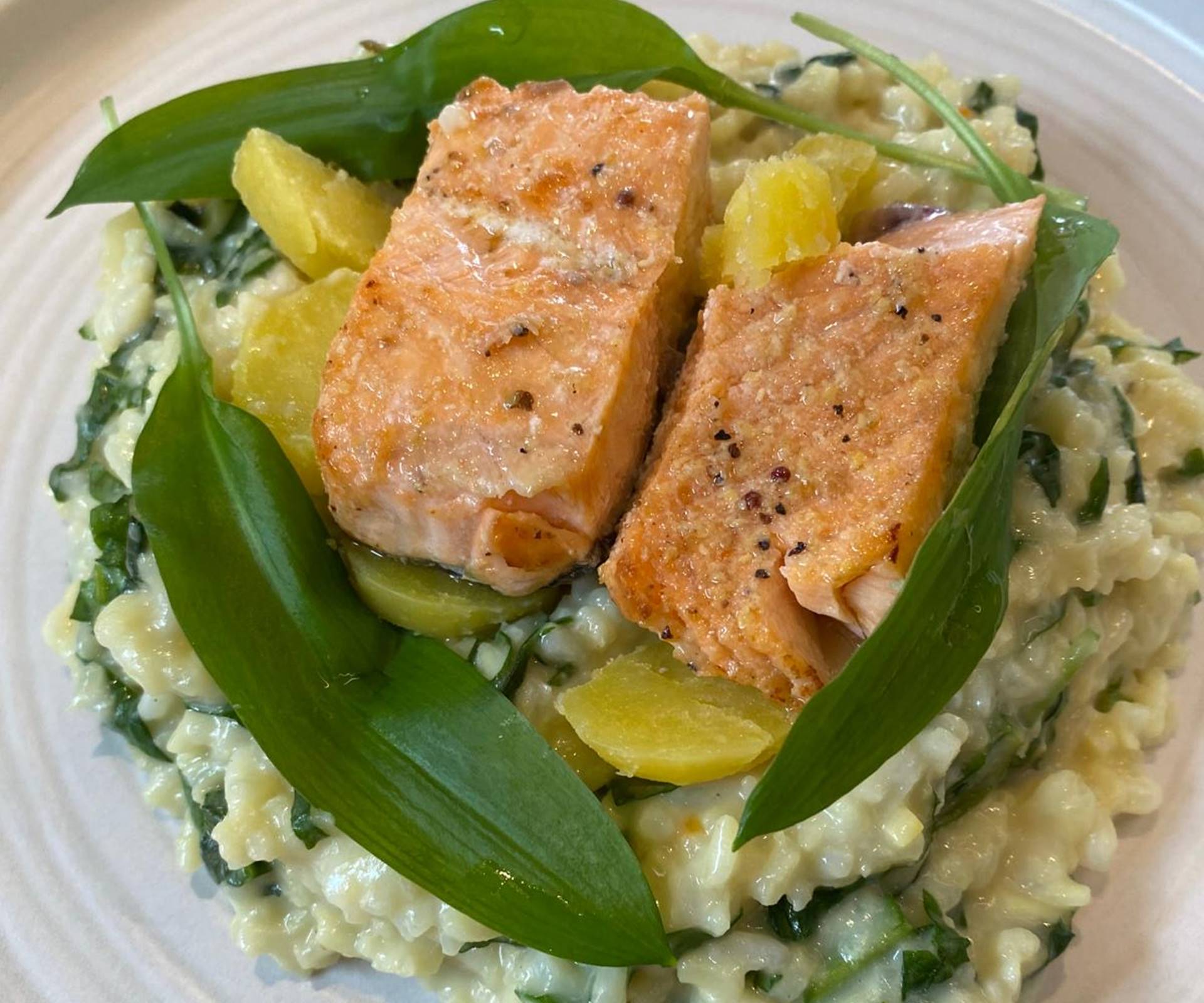 Balance4Life - Marlene Hofinger aus Neukirchen am Walde in Oberösterreich